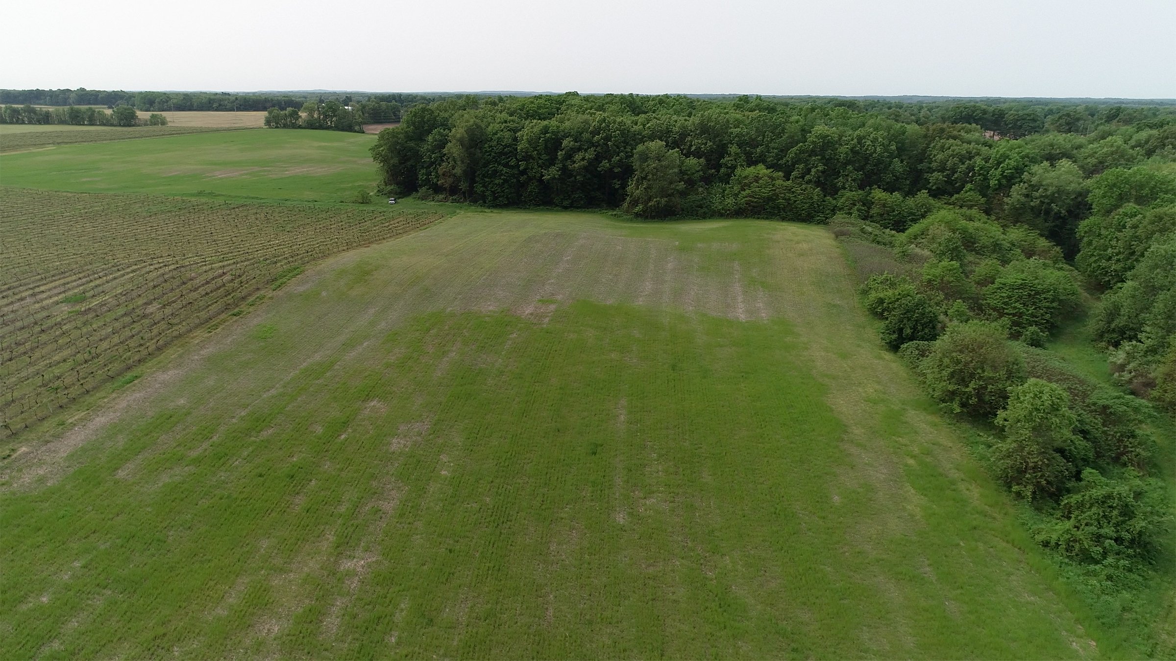 Van Buren County, Michigan farmland - LAND AUCTION - 194+/- ACRES OFFERED IN 5 TRACTS IN VAN BUREN COUNTY, MICHIGAN